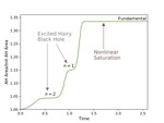 Excited hairy black holes: Dynamical construction and level transitions