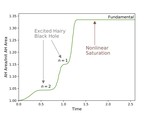 Excited hairy black holes: Dynamical construction and level transitions