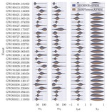 Neural Importance Sampling for Rapid and Reliable Gravitational-Wave Inference